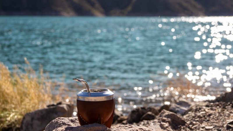 Mendoza, de desierto a oasis: el avance de la ciudad bosque del oeste argentino